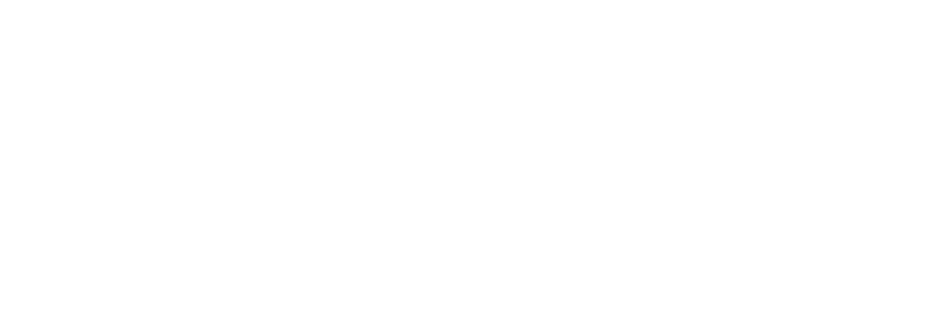 NATIVation Logos_All_Secondary mark all white